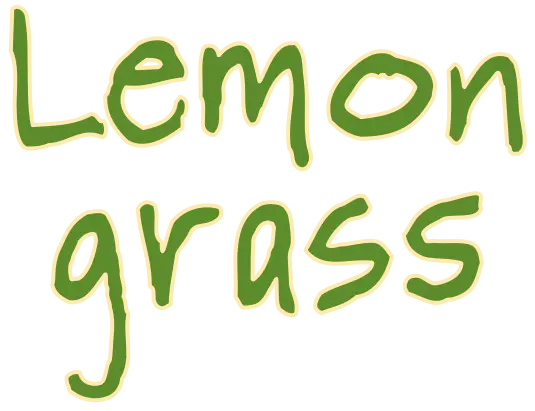 Lemon Grass