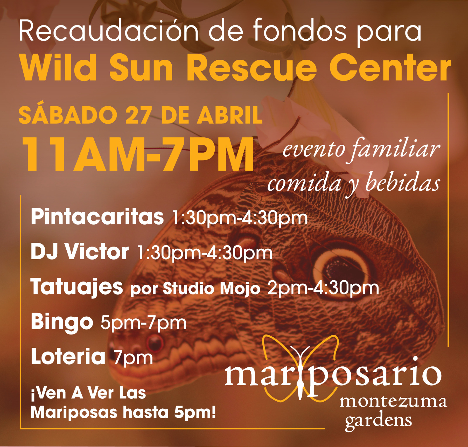 Recaudación de fondos para Wild Sun Rescue Center