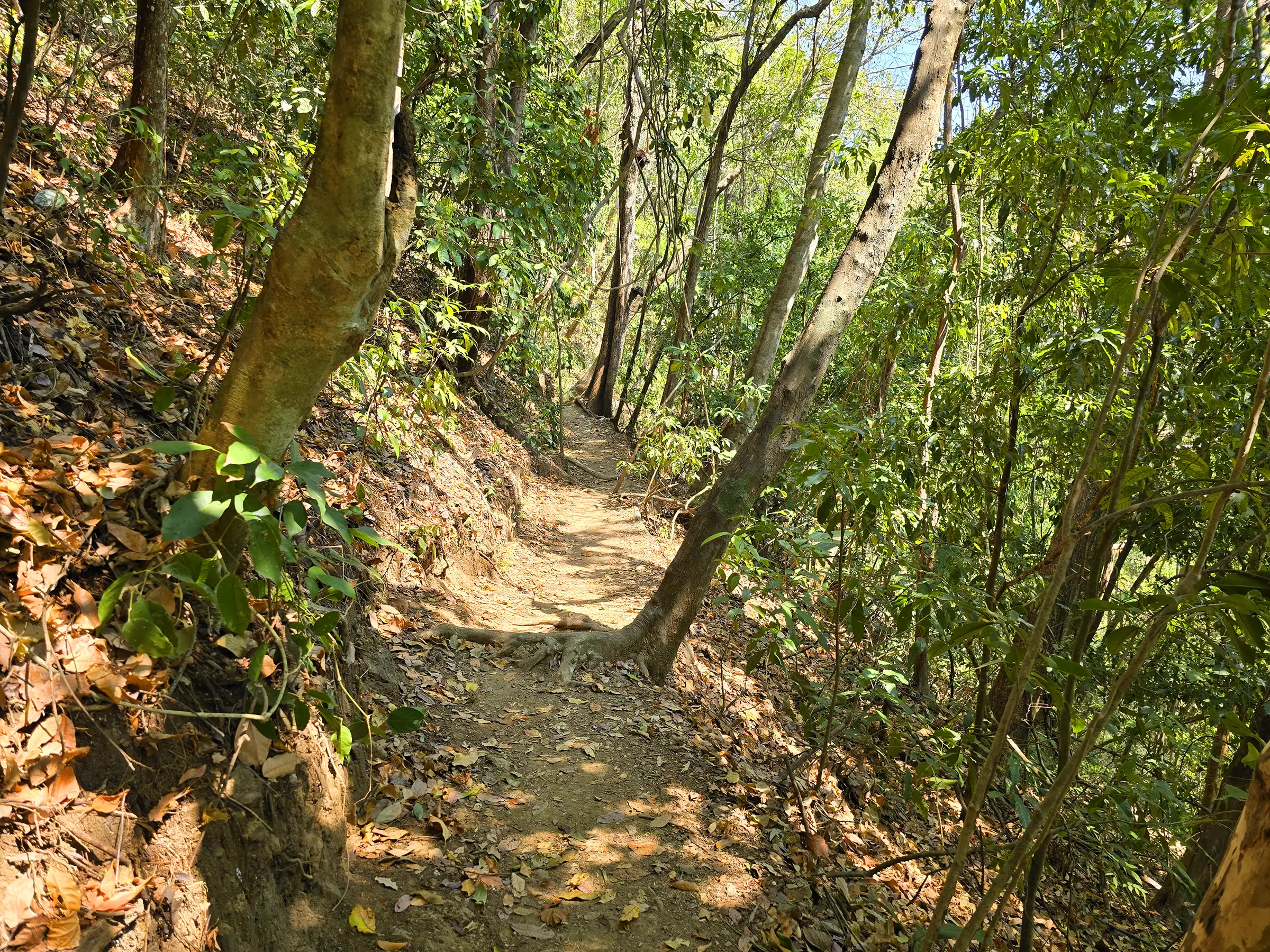 Trail from the trailhead to the fee station